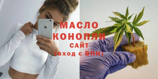 винт Каменка